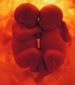 Des jumeaux discutent dans le ventre de leur mère