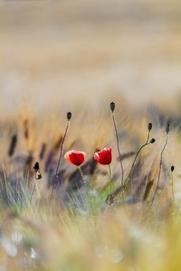 Jésus m’a appris à regarder la nature autrement