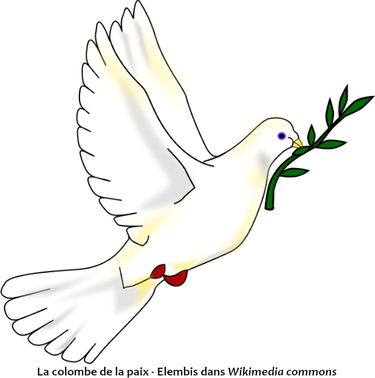 Vivre l'Évangile de paix dans un monde fracturé - 1 / 3