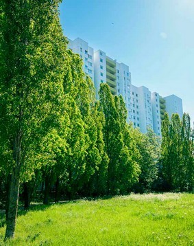 La nature nous fait du bien