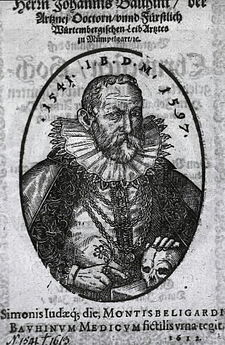 26 octobre 1612 Mort à Montbéliard du  botaniste Jean Bauhin (1541-1612)