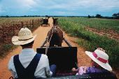 12 juin 1935. La guerre du Chaco et les mennonites